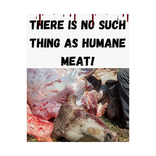 Vegan Activism Poster - There is no such thing as humane meat