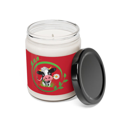 Pleading Cow - Scented Soy Candle, 9oz