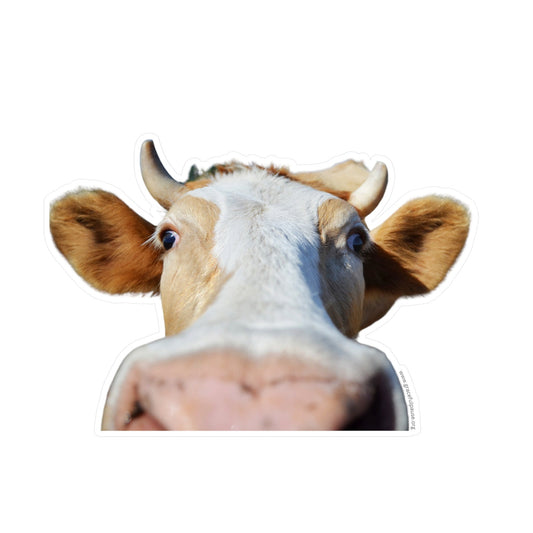 Cow Face - indoor/outdoor Kiss-Cut Vinyl Decals