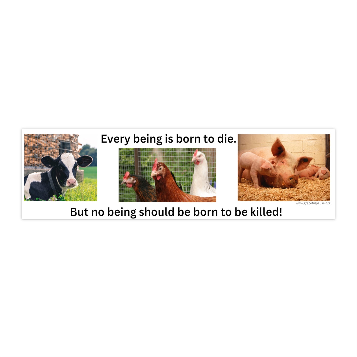 No being should be born to be killed - Bumper Stickers