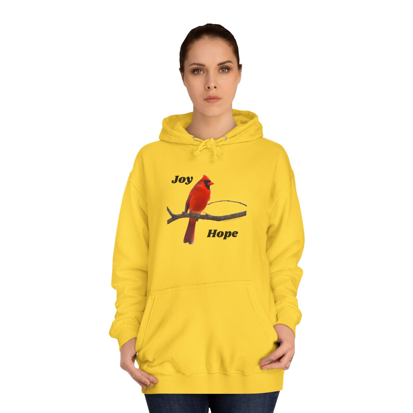 Cardinal - Joy and Hope - Unisex College Hoodie