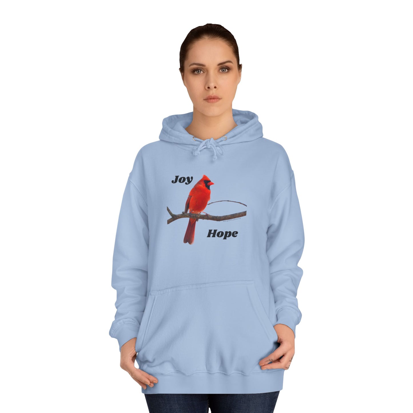 Cardinal - Joy and Hope - Unisex College Hoodie