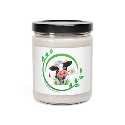 Pleading Cow - Scented Soy Candle, 9oz