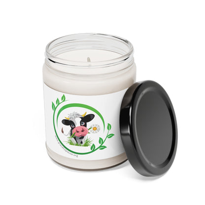 Pleading Cow - Scented Soy Candle, 9oz